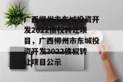 广西柳州市东城投资开发2022债权转让项目，广西柳州市东城投资开发2022债权转让项目公示