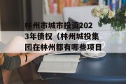 林州市城市投资2023年债权（林州城投集团在林州都有哪些项目）