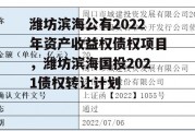 潍坊滨海公有2022年资产收益权债权项目，潍坊滨海国投2021债权转让计划