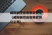 咸阳新控应收账款转让（咸阳新控应收账款转让公司）