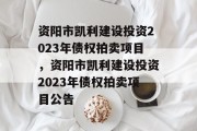 资阳市凯利建设投资2023年债权拍卖项目，资阳市凯利建设投资2023年债权拍卖项目公告