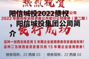 阳信城投2022债权，阳信城投集团公司简介