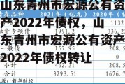 山东青州市宏源公有资产2022年债权，山东青州市宏源公有资产2022年债权转让