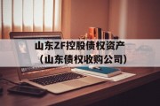 山东ZF控股债权资产（山东债权收购公司）