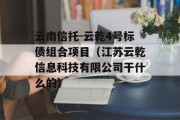 云南信托-云乾4号标债组合项目（江苏云乾信息科技有限公司干什么的）