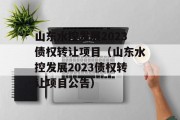 山东水控发展2023债权转让项目（山东水控发展2023债权转让项目公告）