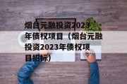 烟台元融投资2023年债权项目（烟台元融投资2023年债权项目招标）