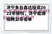 济宁鱼台鑫达投资2022年债权，济宁能源招聘公示名单