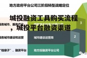 城投融资工具购买流程，城投平台融资渠道