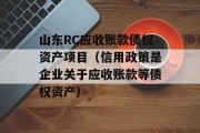 山东RC应收账款债权资产项目（信用政策是企业关于应收账款等债权资产）