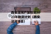 西安泾河产发投资2023年融资计划（西安泾河项目）