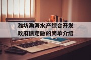 潍坊渤海水产综合开发政府债定融的简单介绍