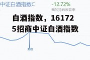 白酒指数，161725招商中证白酒指数