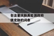 包含重庆新禹能源政府债定融的词条