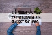 山东菏泽城市发展2023年城投债项目（菏泽城投开发的楼盘）