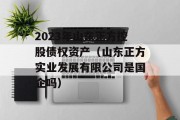 2023年山东正方控股债权资产（山东正方实业发展有限公司是国企吗）