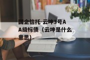 国企信托-云坤3号AA级标债（云坤是什么意思）