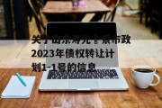 关于山东寿光昇景市政2023年债权转让计划1-1号的信息