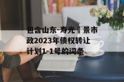 包含山东-寿光昇景市政2023年债权转让计划1-1号的词条