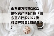 山东正方控股2022债权资产项目1期（山东正方控股2022债权资产项目1期是多少）