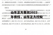 山东正方集团2022年债权，山东正方控股