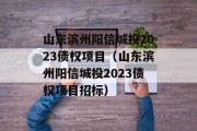 山东滨州阳信城投2023债权项目（山东滨州阳信城投2023债权项目招标）