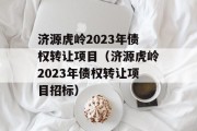 济源虎岭2023年债权转让项目（济源虎岭2023年债权转让项目招标）