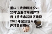 重庆市武隆区建投2023年企业信用资产项目（重庆市武隆区建投2023年企业信用资产项目有哪些）