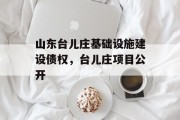 山东台儿庄基础设施建设债权，台儿庄项目公开