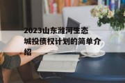 2023山东潍河生态城投债权计划的简单介绍