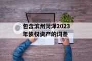 包含滨州菏泽2023年债权资产的词条