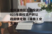 重庆潼南区工业投资2023年债权资产转让政府债定融（潼南工业发展）