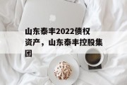 山东泰丰2022债权资产，山东泰丰控股集团