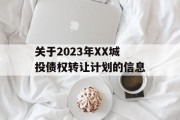 关于2023年XX城投债权转让计划的信息