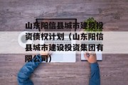 山东阳信县城市建设投资债权计划（山东阳信县城市建设投资集团有限公司）