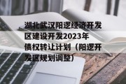 湖北武汉阳逻经济开发区建设开发2023年债权转让计划（阳逻开发区规划调整）