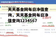 天天基金网每日净值查询，天天基金网每日净值查询1234567