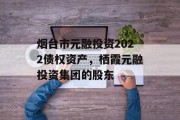 烟台市元融投资2022债权资产，栖霞元融投资集团的股东