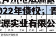 山东青州市宏源公有资产2022年债权，青州宏源实业有限公司