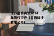 江苏星爵实业2024年债权资产（星爵科技有限公司）