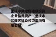 重庆市武隆区建设投资企业信用资产（重庆市武隆区建设投资集团有限公司）