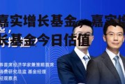 嘉实增长基金，嘉实增长基金今日估值