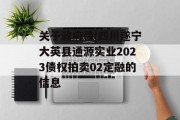 关于政府债|四川遂宁大英县通源实业2023债权拍卖02定融的信息