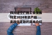 四川遂宁广利工业发展特定2024年资产拍卖政信定融的简单介绍