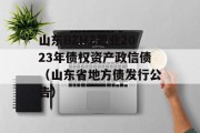 山东BZHZ置业2023年债权资产政信债（山东省地方债发行公告）