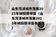 山东菏泽城市发展2023年城投债项目（山东菏泽城市发展2023年城投债项目有哪些）