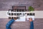 广利工业应收2023年债权资产（广利集团待遇如何）