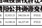 饶阳城投债权转让项目，饶阳公共资源交易中心