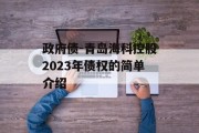 政府债-青岛海科控股2023年债权的简单介绍