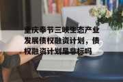 重庆奉节三峡生态产业发展债权融资计划，债权融资计划是非标吗